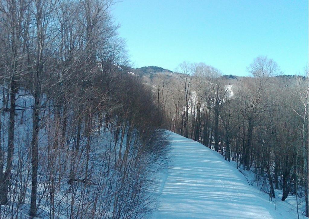 Ski In/Out Trailside Townhome كيلنغتون المظهر الخارجي الصورة